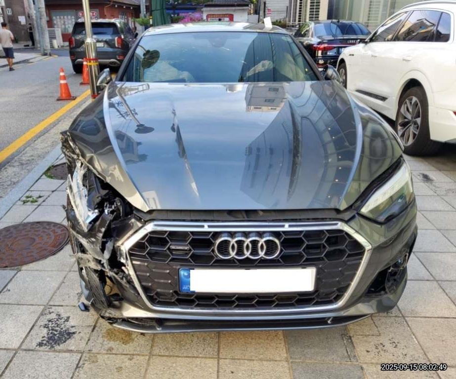 챠량이미지